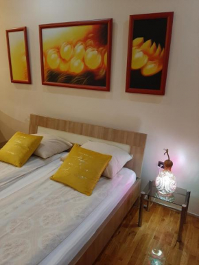 DR Apartment
